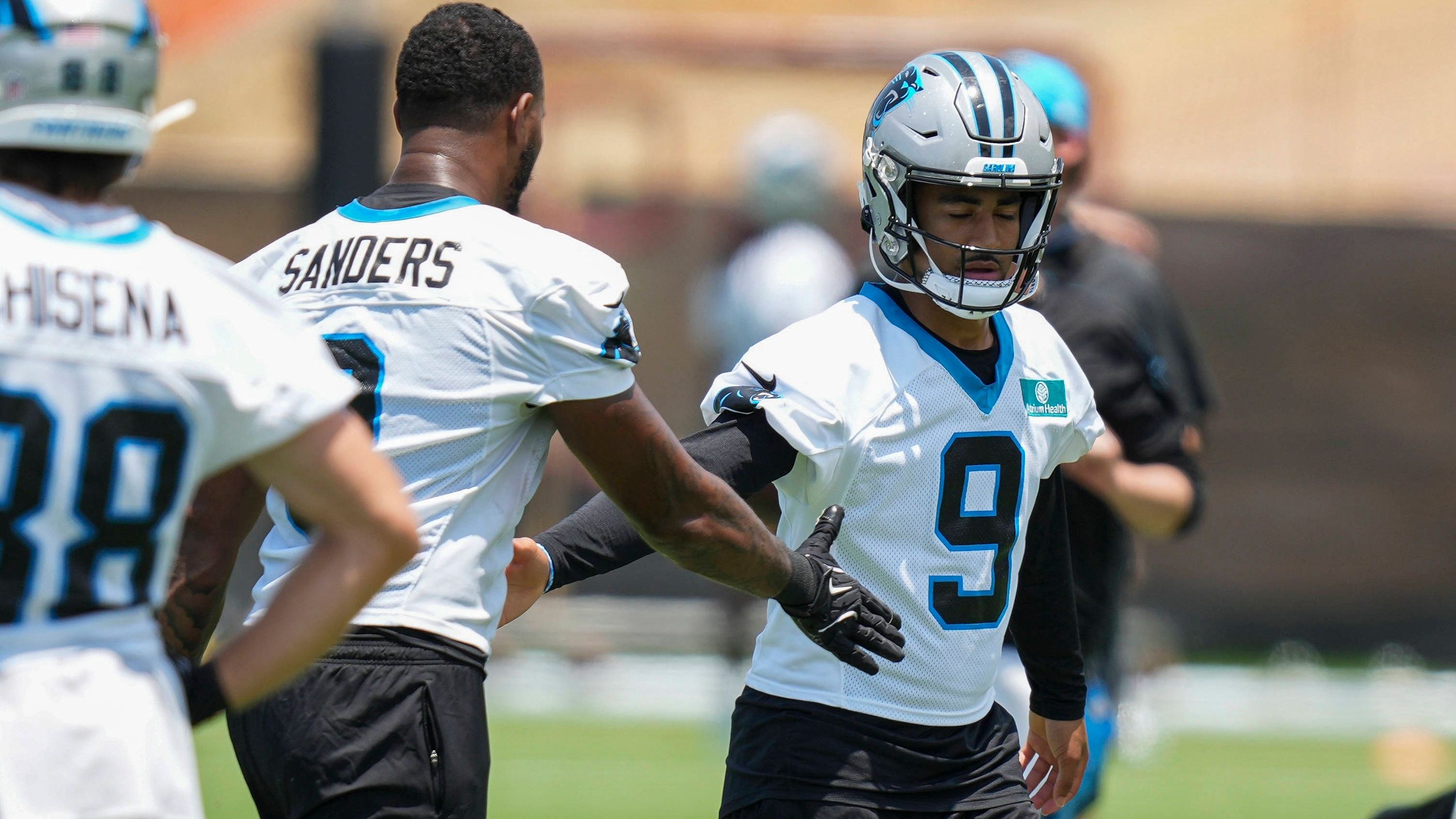 <strong>Carolina Panthers</strong><br>Anzahl Unentschieden: 1