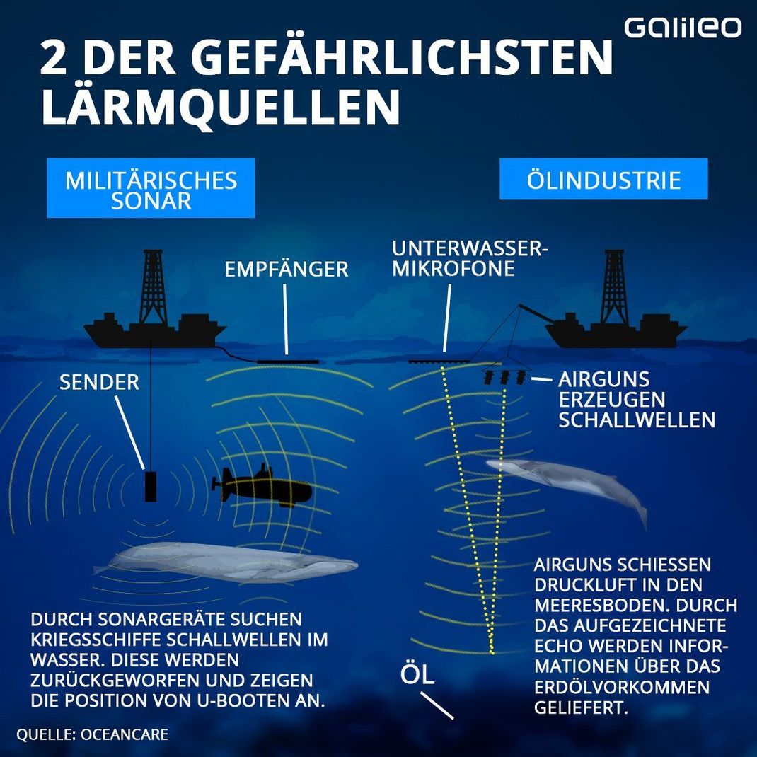 Das Militär und die Ölindustrie verursachen am meisten Lärm unter Wasser.