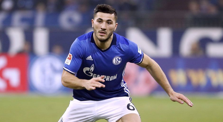 
                <strong>Sead Kolasinac (FC Schalke 04)</strong><br>
                Sead Kolasinac (FC Schalke 04)
              