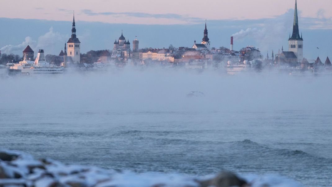 In Estlands Hauptstadt Tallinn wurden ein prorussischer Aktivist samt Komplizen verurteilt.