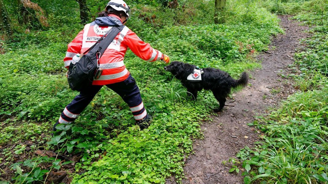 Polizei sucht mit Großaufgebot nach vermisstem Mädchen