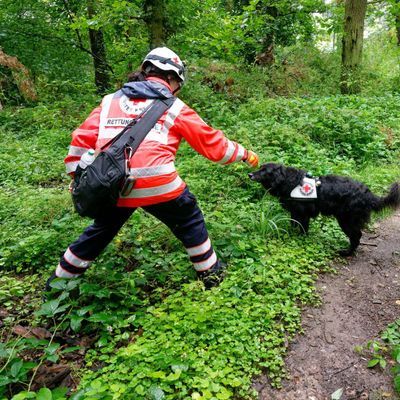 Polizei sucht mit Großaufgebot nach vermisstem Mädchen