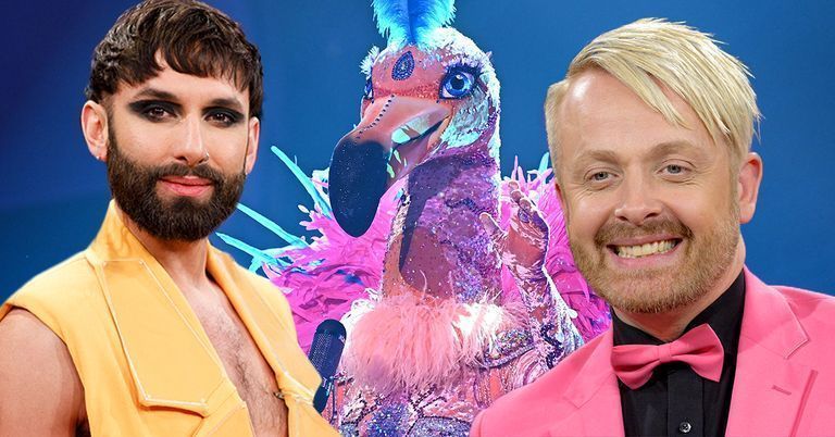 The Masked Singer Die Indizien Zum Flamingo Im Check