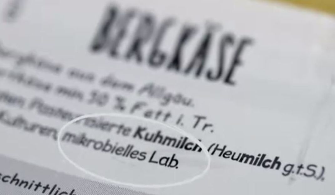 Käse enthält mikrobielles Lab und ist somit vegetarisch / vegan.