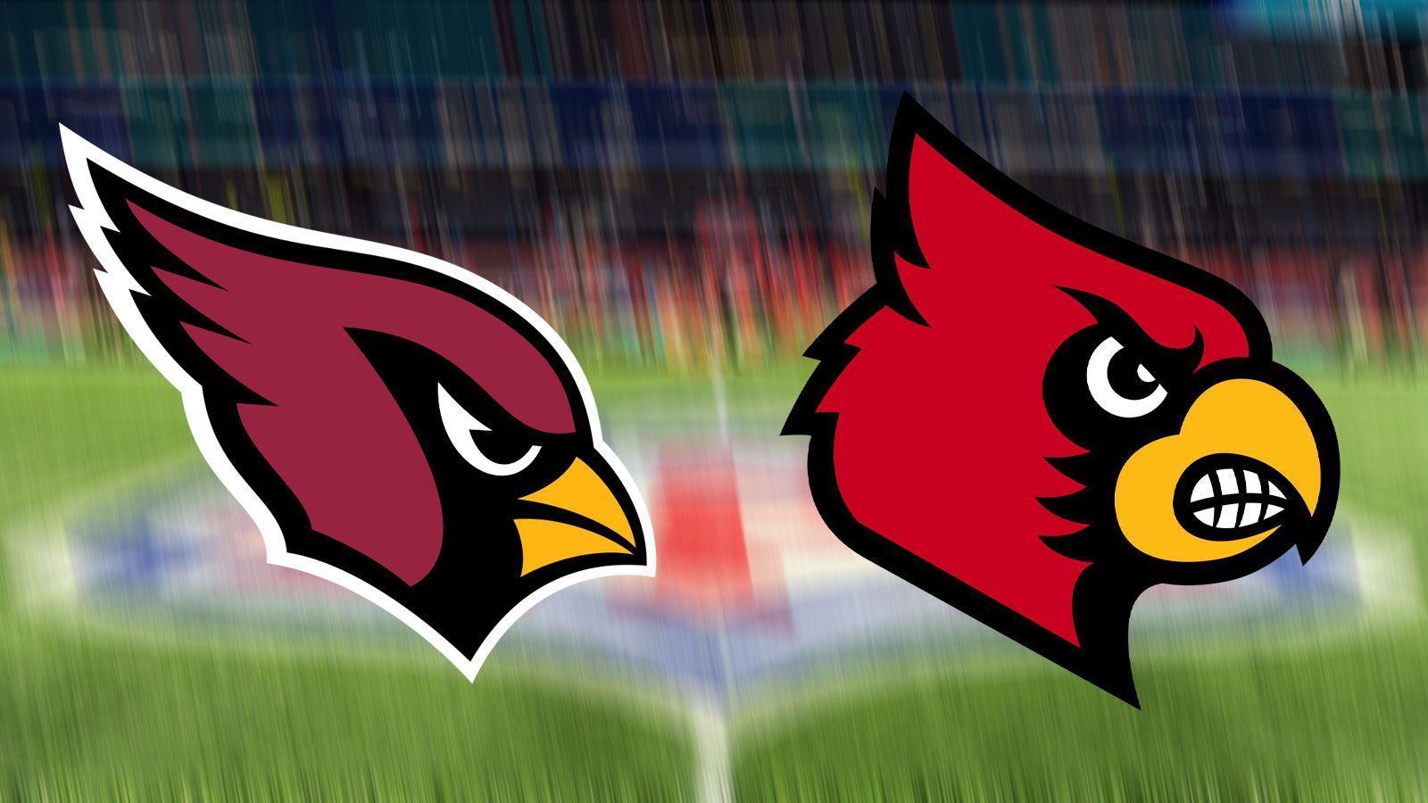 
                <strong>Louisville Cardinals (NCAA Atlantic Coast Conference)</strong><br>
                Heimat: Louisville, KentuckyÄhnliches NFL-Logo: Arizona Cardinals (l./ aus Glendale, Arizona)Das Logo des College-Teams besteht seit 2001 nur noch aus dem Kopf des Kardinalsvogels, 2013 wurde auch der Schriftzug entfernt. Bei der NFL-Franchise besteht das Logo bereits seit 1970 - damals spielte das Team noch in St. Louis - und wurde seither nur noch minimal verändert.
              