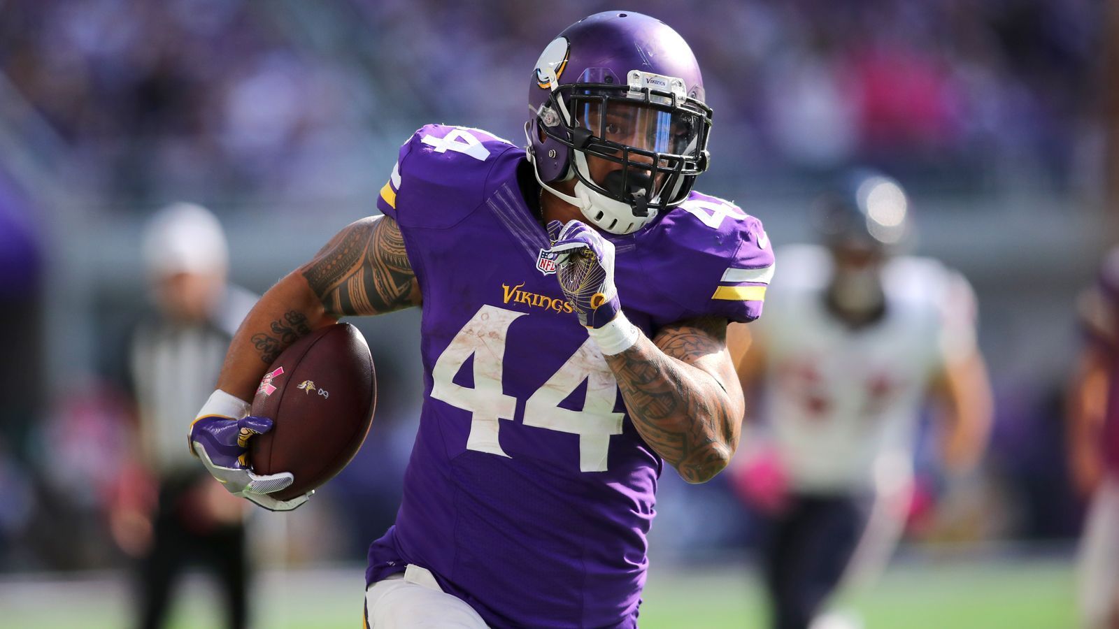 
                <strong>Matt Asiata (Salt Lake Stallions)</strong><br>
                Der Running Back/Fullback wurde bei den Minnesota Vikings vor allem bei Goal-Line- oder Short-Yardage-Situationen eingesetzt. Wenn es darum ging ein bis zwei Yards zu machen, konnte das Team fast immer auf den 31-Jährigen zählen. Er kommt immerhin auf 18 NFL-Touchdowns.
              