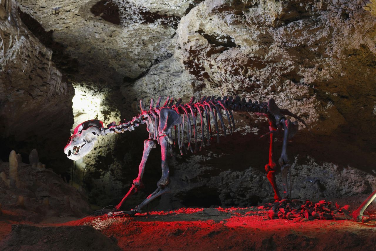 Vor über 30.000 Jahren lebte in der Fränkischen Schweiz ein Höhlenbär. Sein Skelett, das der Paläontologe Max Schlosser 1959 zusammensetzte, steht in der Teufelshöhle nahe der Stadt Pottenstein. Das "Tor zur Unterwelt" liegt auf etwa 400 Metern, das weit verzweigte Höhlen-System mit reichlich Tropfstein-Schmuck erstreckt sich über drei Etagen. Während des 45-minütigen Rundgangs sind 400 Stufen zu bewältigen. In den Heilstolle