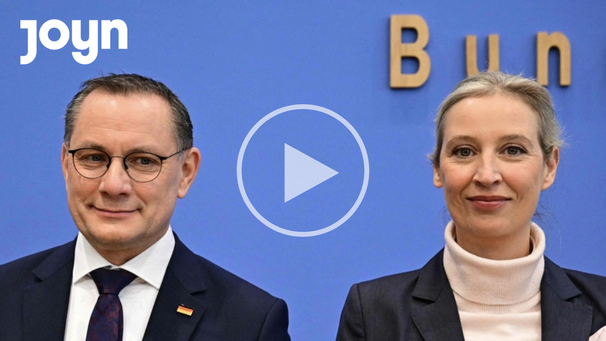 AfD-Teaser