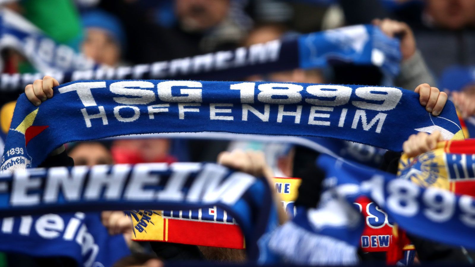 
                <strong>TSG Hoffenheim </strong><br>
                Erwachsene (ab 25 Jahre): 66 EuroRentner, Kinder, Jugendliche, Azubis und Studenten (bis 25 Jahre): 25 Euro
              