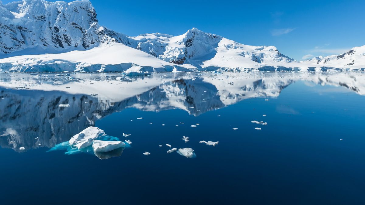 Snow and ices of the Antarctic islands