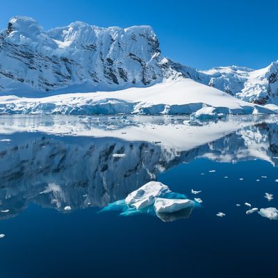 Snow and ices of the Antarctic islands