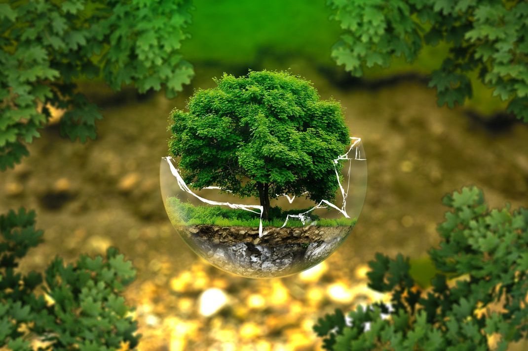 Article Image Media