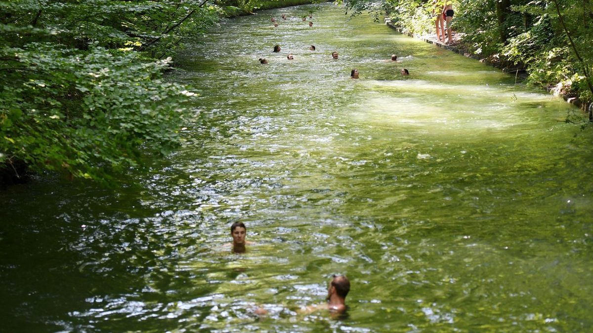 Eisbachschwimmer in München