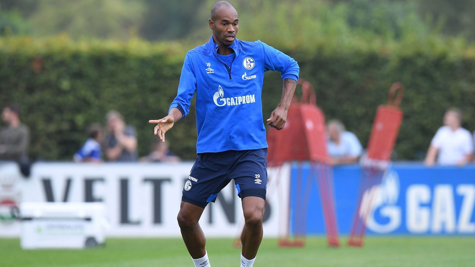 
                <strong>1. Naldo</strong><br>
                Verein: FC Schalke 04Größe: 1,98 Meter
              