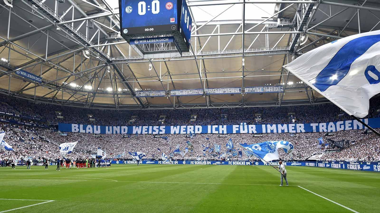 
                <strong>Platz 3: FC Schalke 04</strong><br>
                &#x2022; 4,94 von 5 möglichen Punkten<br>
              