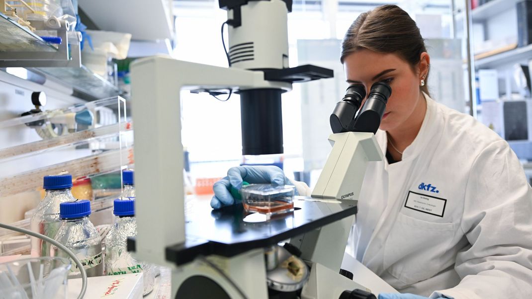 Eine Mitarbeiterin des Deutschen Krebsforschungszentrum bearbeitet in einem Labor unter dem Mikroskop eine Probe.