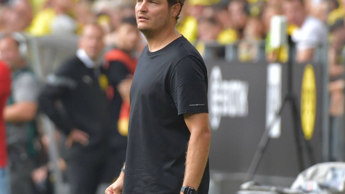 19.08.2023, xblx, Fussball 1.Bundesliga, Borussia Dortmund - 1.FC Köln emspor, v.l. Trainer Edin Terzic (Borussia Dortmund) (DFL DFB REGULATIONS PROHIBIT ANY USE OF PHOTOGRAPHS as IMAGE SEQUENCES a...
