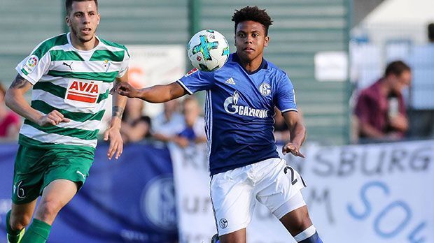 
                <strong>Defensives Mittelfeld: Weston McKennie (FC Schalke 04)</strong><br>
                Weston McKennie wechselte im Sommer 2016 aus den USA in die Schalker Jugend. "Die Konkurrenz auf meiner Position ist natürlich groß. Aber ich mag es, mich mit anderen zu messen. Ich bin ein Wettkampftyp", sagte McKennie bei "schalke04.de". Tatsächlich hat Schalke einige Optionen im defensiven Mittelfeld, doch in den Testspielen zeigte McKennie, dass er es auch mit Johannes Geis aufnehmen kann.
              