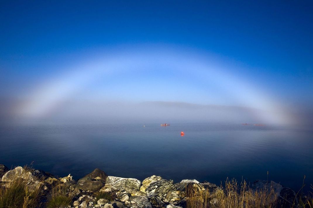 Nebel, hier in Norwegen, bildet einen "weißen Regenbogen".
