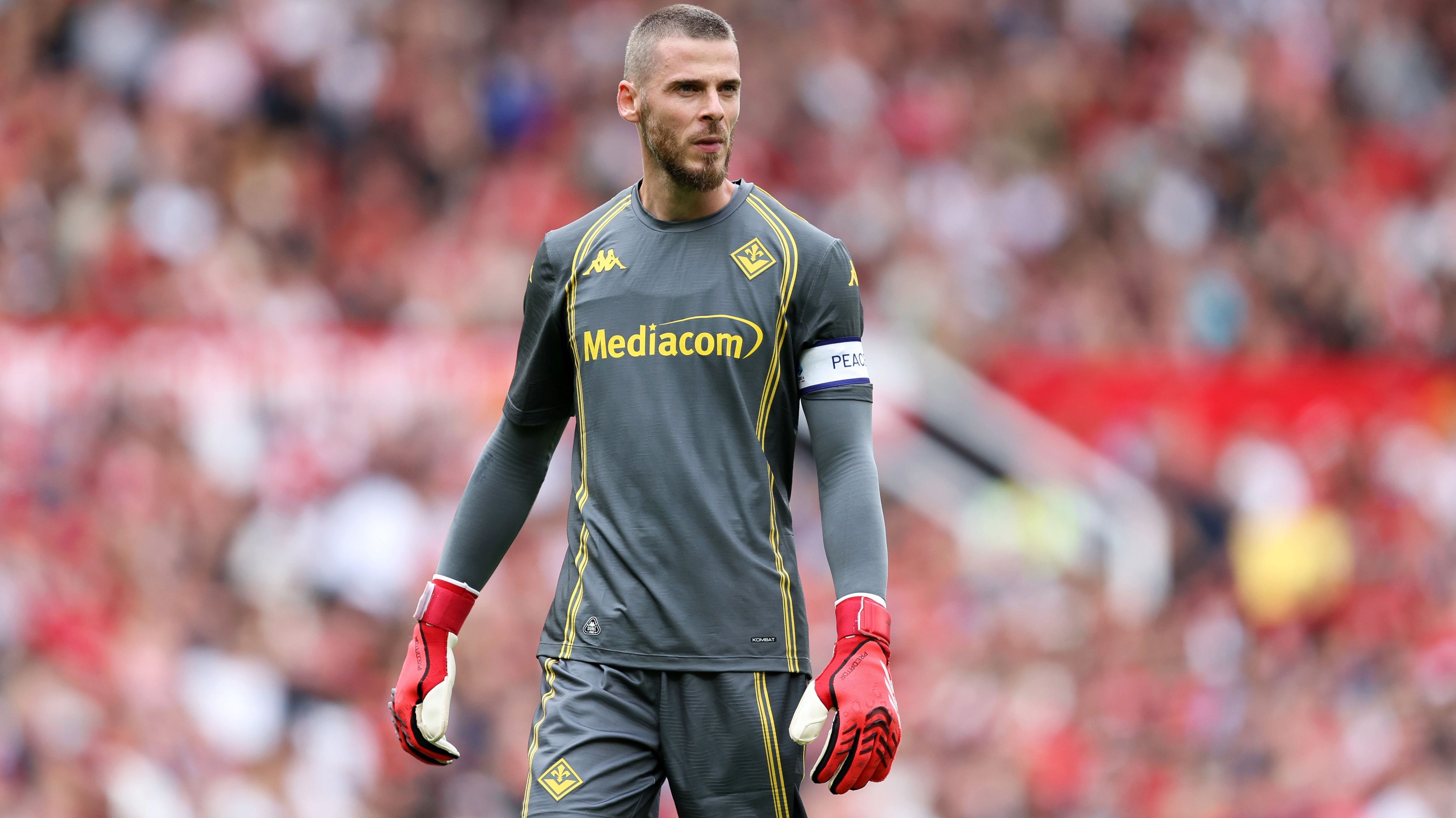 <strong><em>David de Gea (AC Florenz)</em></strong><br><em>Kommt es zum spektakulären Comeback von David de Gea bei Manchester United? Laut "Sun" sollen die "Red Devils" mit dem Gedanken spielen, den 34-Jährigen zurück ins Old Trafford zu holen. De Gea stand bereits zwischen 2011 und 2023 in Manchester unter Vertrag. Aktuell spielt der 34-Jährige in Italien für die AC Florenz und fand dort zu seiner früheren Topform zurück. In Manchester besteht ...</em>