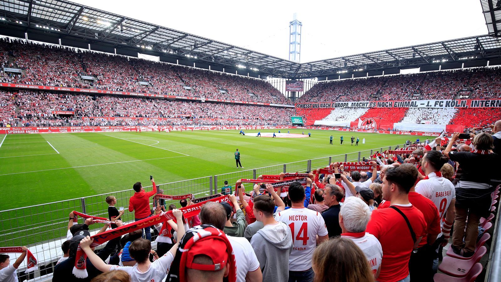 
                <strong>Platz 7: 1. FC Köln</strong><br>
                Stehplatz: 203 Euro (Mitglieder: 187 Euro) - vergangene Saison: 165 EuroTeuerste Sitzplatzkategorie: 910 Euro ((ligaweit Platz 3) Mitglieder: 852 Euro) - vergangene Saison: 795 Euro
              