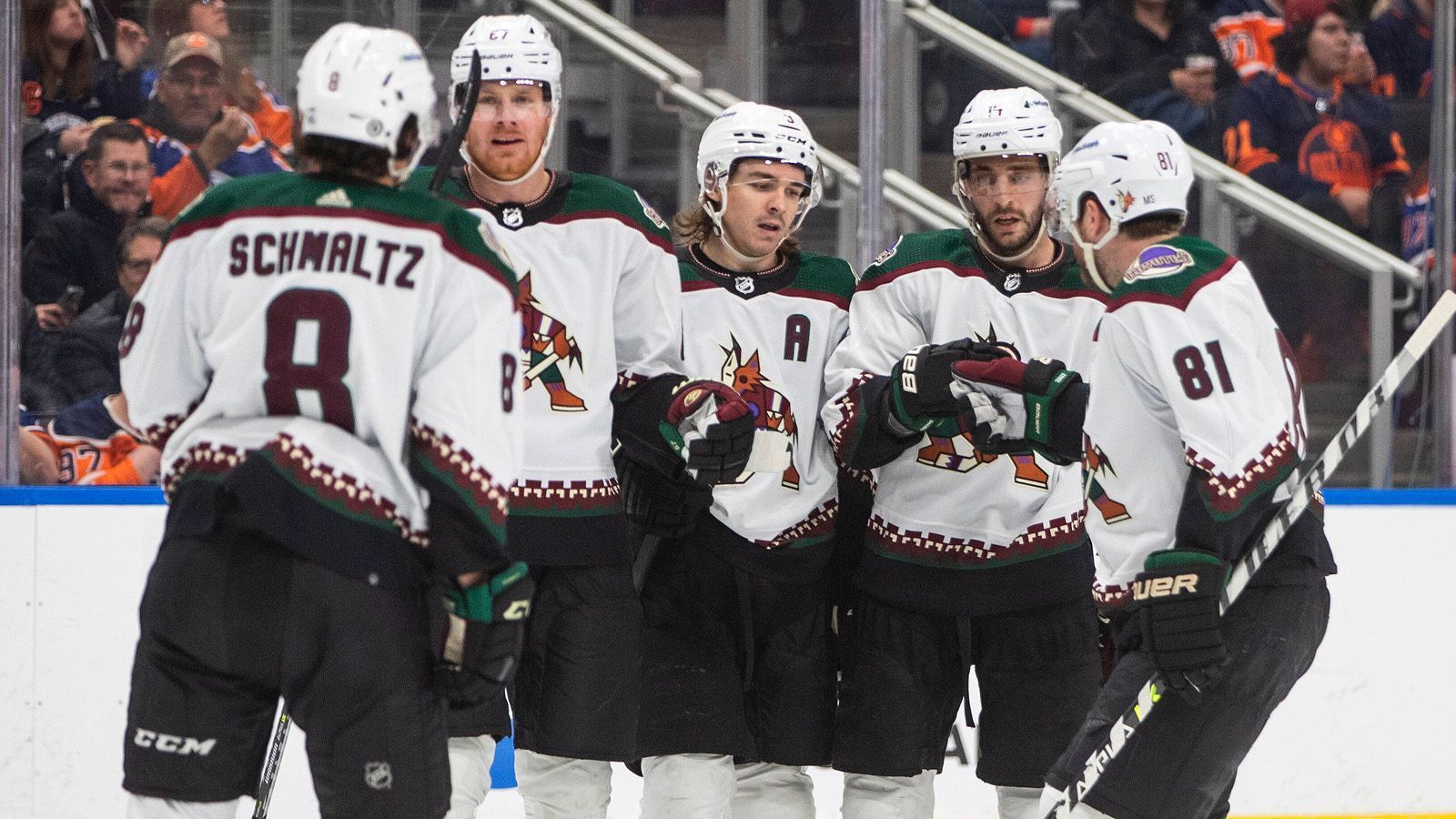 
                <strong>Arizona Coyotes</strong><br>
                Die Arizona Coyotes haben zum zweiten Mal in Folge die Playoffs verpasst. Seit dem Jahre 2013 nahm das Team aus Phoenix lediglich einmal an der Postseason teil – und zwar in der Spielzeit 2019/2020. Ob es nun um die durchschnittliche Anzahl an Toren, die Anzahl der Gegentore, das Powerplay oder das Penalty-Killing geht: Arizona zählt in allen relevantesten Statistiken zu den schlechtesten Teams der NHL.
              