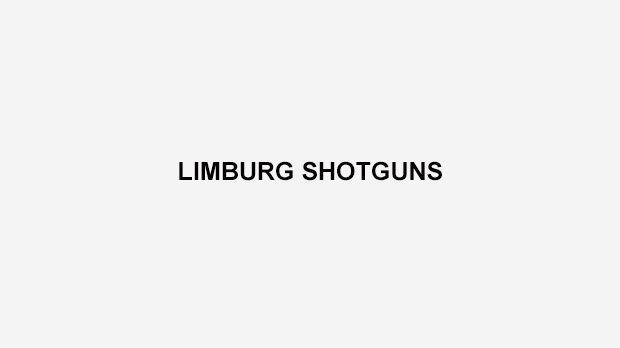 
                <strong>Limburg Shotguns</strong><br>
                Die Schweizer "Schrotflinten" aus Beringen sind Mitglied der Flemish American Football League (FAFL), welche wiederum zur Belgian American Football League (BAFL) gehört. Viele ehemalige Spieler der Limburg Eagles traten dem Klub bei der Gründung 2008 bei.
              
