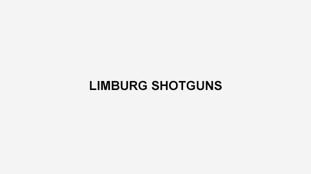 
                <strong>Limburg Shotguns</strong><br>
                Die Schweizer "Schrotflinten" aus Beringen sind Mitglied der Flemish American Football League (FAFL), welche wiederum zur Belgian American Football League (BAFL) gehört. Viele ehemalige Spieler der Limburg Eagles traten dem Klub bei der Gründung 2008 bei.
              