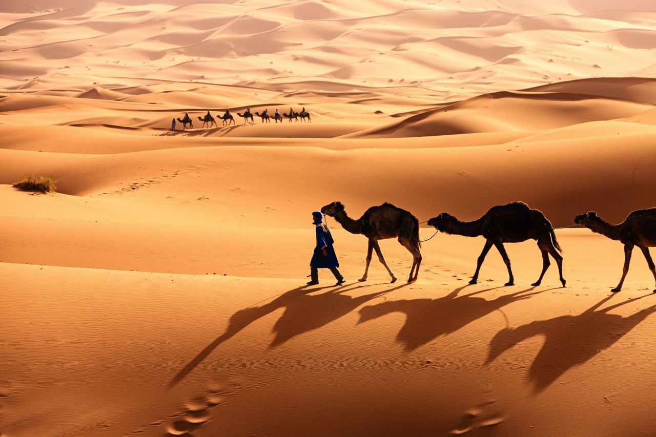 Ein Angehöriger der Tuareg mit Kamelen in der Sahara. Die Wüstentiere könnten zehn Tage ohne Wasser auskommen.