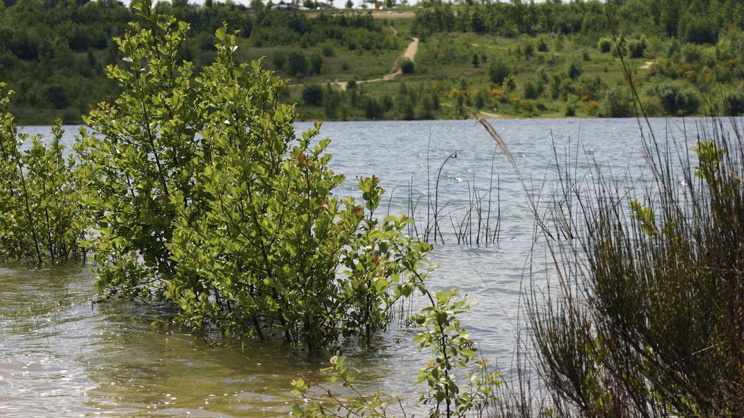 Im Blausteinsee im ehemaligen Tagebau bei Eschweiler ertrank der Junge.