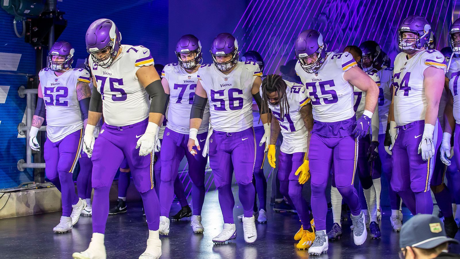 
                <strong>Minnesota Vikings - Minnesota </strong><br>
                &#x2022; 9,85 Prozent<br>
              