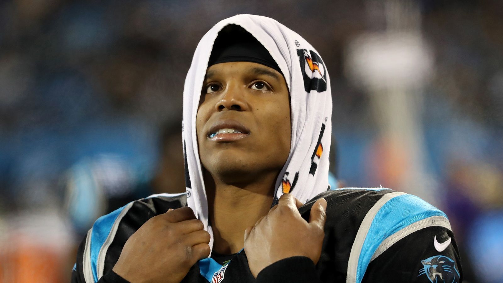 
                <strong>Carolina Panthers</strong><br>
                Quote für das Erreichen der Playoffs: 3,75
              