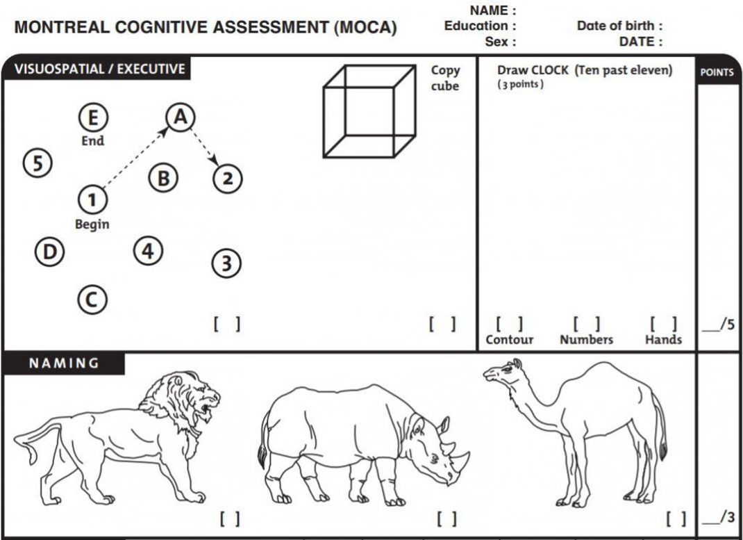 Beim MoCA-Test müssen unter anderem diese 3 Tiere korrekt benannt und das Ziffernblatt einer Uhr aufgezeichnet werden.