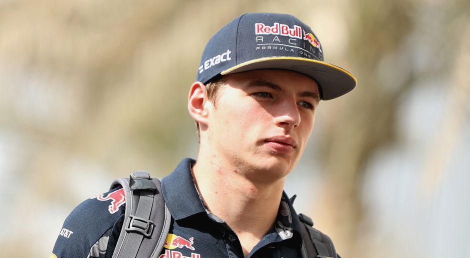 
                <strong>Max Verstappen</strong><br>
                Red Bull Racing: 33 Max Verstappen (Niederlande). Grand-Prix-Starts: 40. Siege: 1.
              