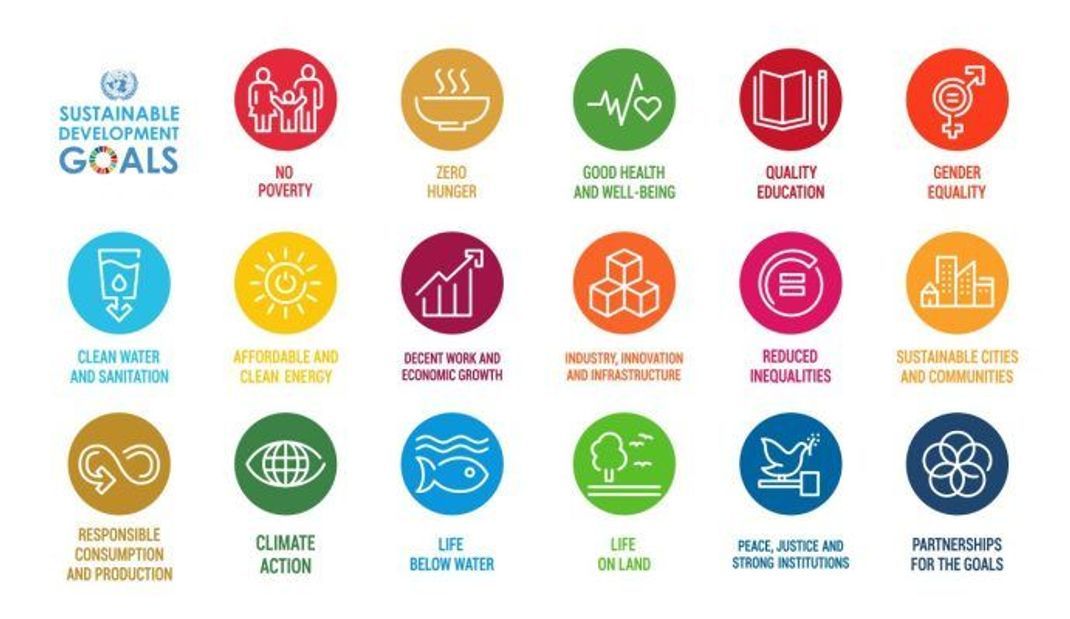 2015 formulierte die UN insgesamt 17 Entwicklungsziele für das Jahr 2030 - die sogenannten SDG.