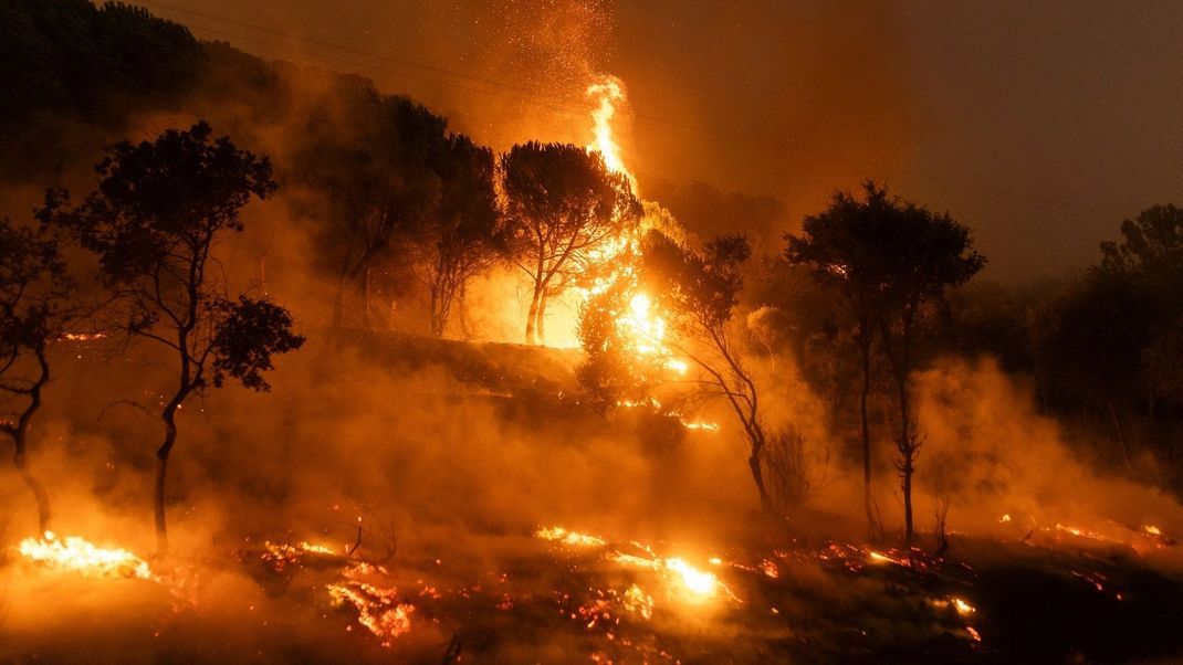 Flammen schlagen aus einem Wald im Dorf Dikela in der Nähe der Stadt Alexandroupolis in der nordöstlichen Region Evros.