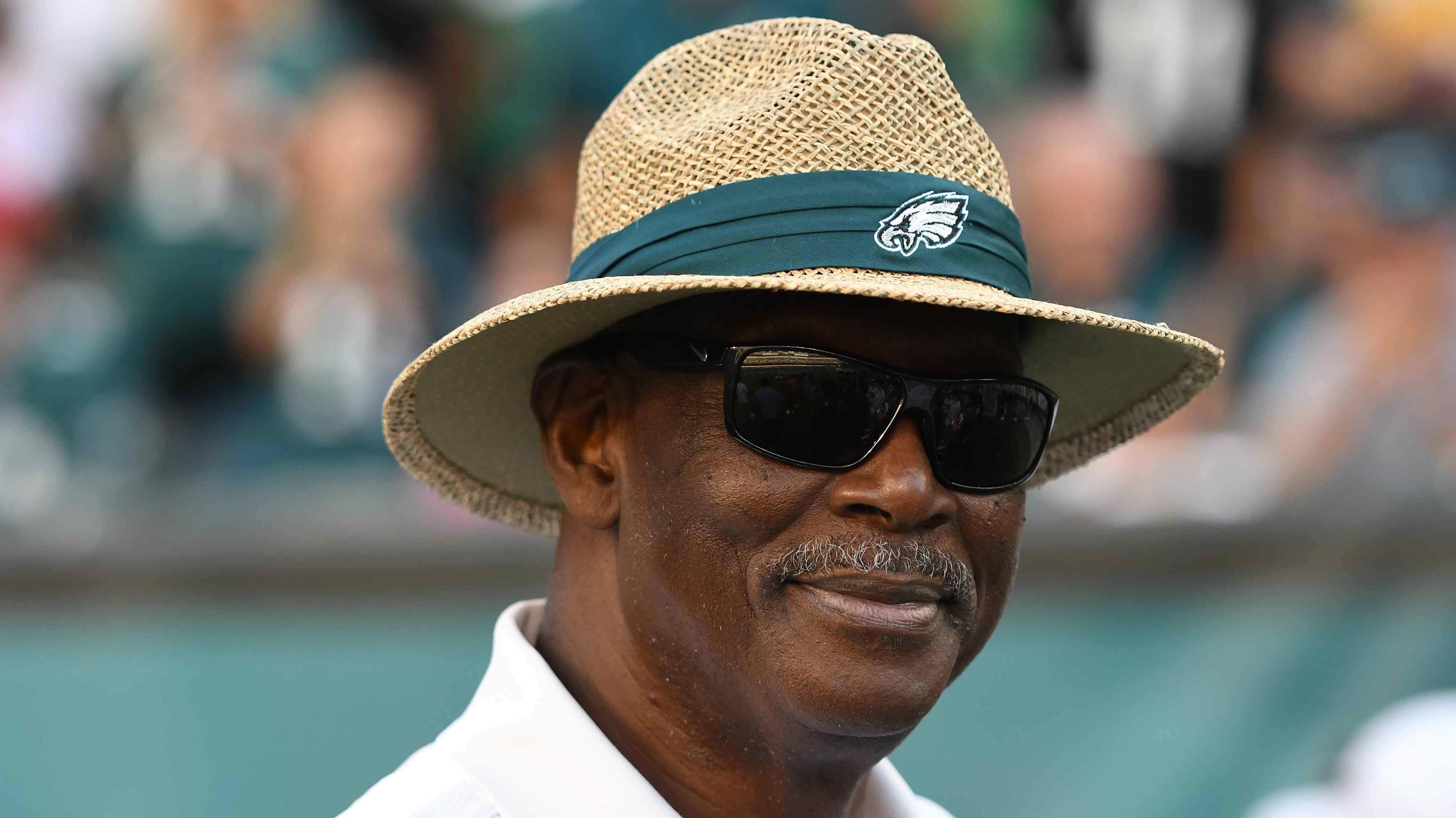 
                <strong>Philadelphia Eagles: Harold Carmichael</strong><br>
                Erzielte Touchdowns: 79Position: Wide Receiver
              