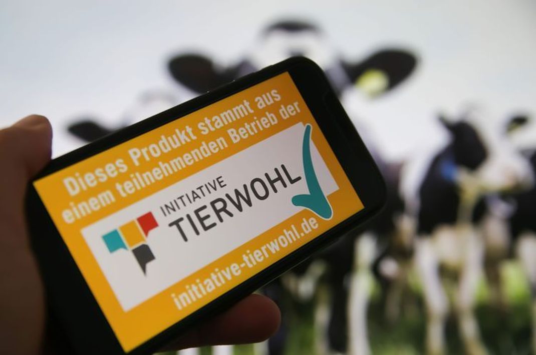 Tierwohl und Nachhaltigkeit – das fordert Foodwatch