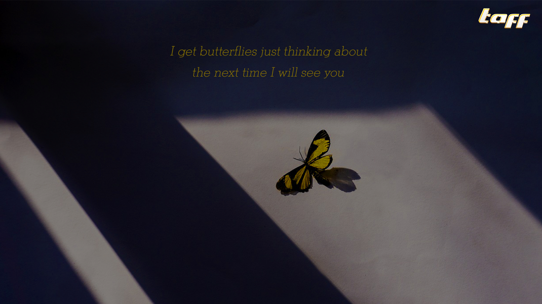 Umso intensiver die Liebe und Gefühle, desto schneller flattern die Schmetterlinge…