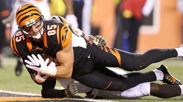 
                <strong>Tyler Eifert, Cincinnati Bengals</strong><br>
                Tight End: Tyler Eifert, Cincinnati Bengals. Der 25-Jährige steigerte sich nach einer schwierigen Saison 2014 wieder enorm und trug mit seinen 13 Touchdowns in 13 Spielen zu einer insgesamt guten Saison der Bengals bei. 
              