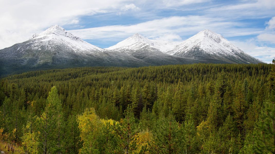 Eine typische kanadische Landschaft mit Bergen und endlosen Wäldern, hier in British Columbia.
