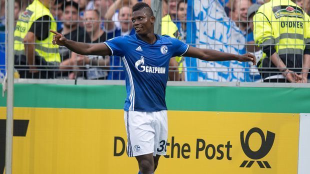 
                <strong>Breel Embolo (19 Jahre, FC Schalke)</strong><br>
                Breel Embolo (19 Jahre, FC Schalke) - Stärke: 76, Potenzial: 88, Steigerungspotenzial: 12
              