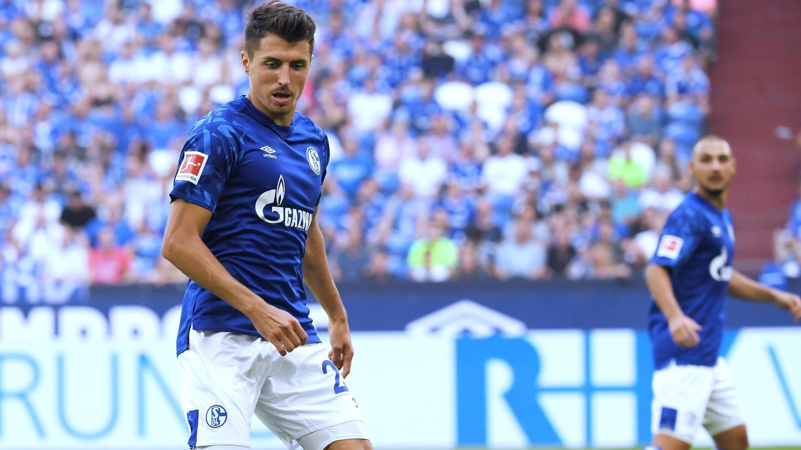 
                <strong>Allesandro Schöpf (Schalke 04)</strong><br>
                Kommt in der 84. Minute für Caligiuri. Keine Bewertung.
              