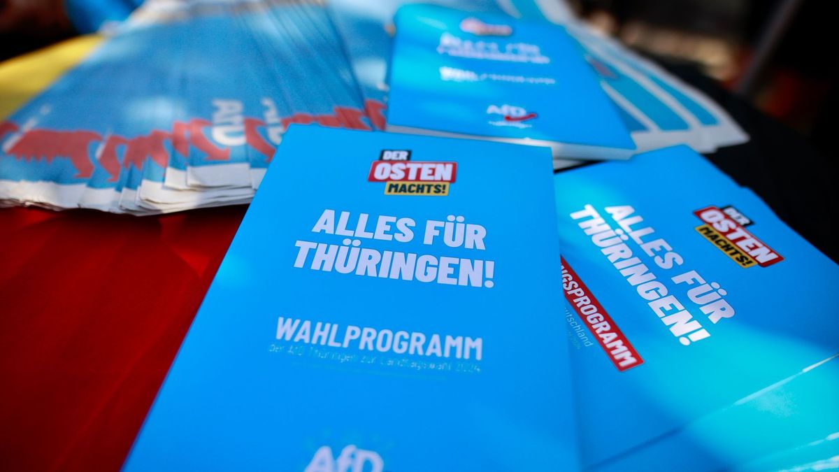 Wahlkampf AfD in Thüringen