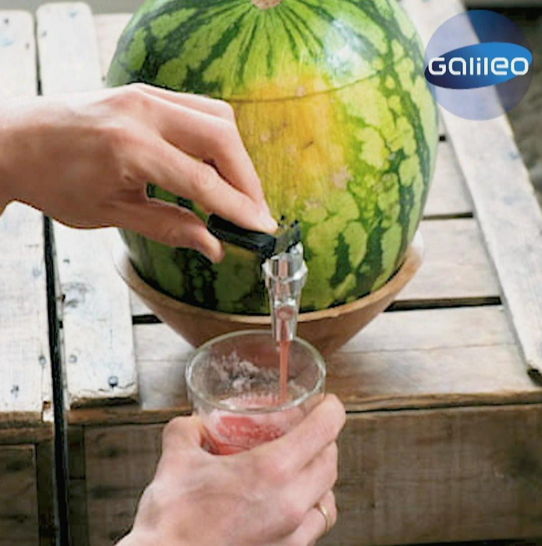 So machst du eine Wassermelone zur Zapfanlage