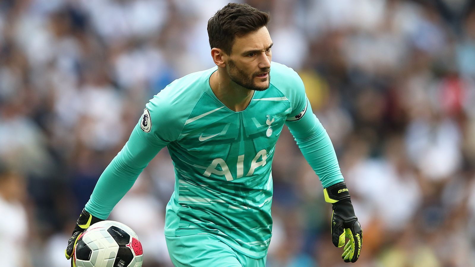 
                <strong>Hugo Lloris (Tottenham Hotspur)</strong><br>
                Position: TorAlter: 32 JahreNationalität: Frankreich
              