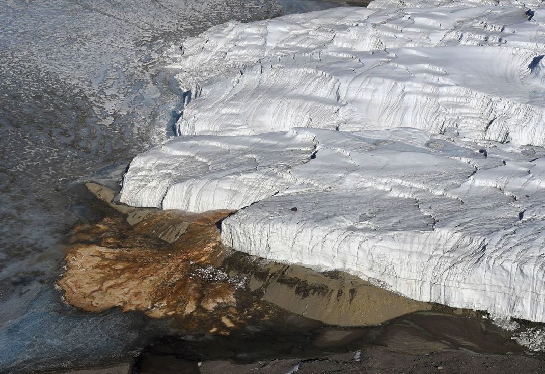 Ursprünglich vermuteten Fachleute um Thomas Griffith Taylor Rotalgen als Ursache der blutroten Färbung des Wasserfalls am Taylor-Glätscher.