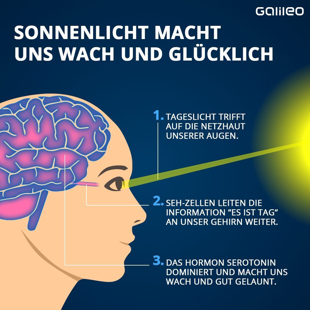 Darum macht Sonnenlicht wach und kurbelt die Produktion bestimmter Hormone an. 