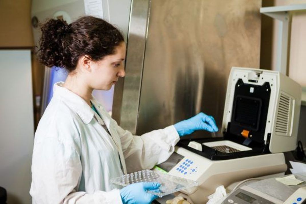Eine Laborantin gibt aufbereitete Proben in das PCR-Gerät.