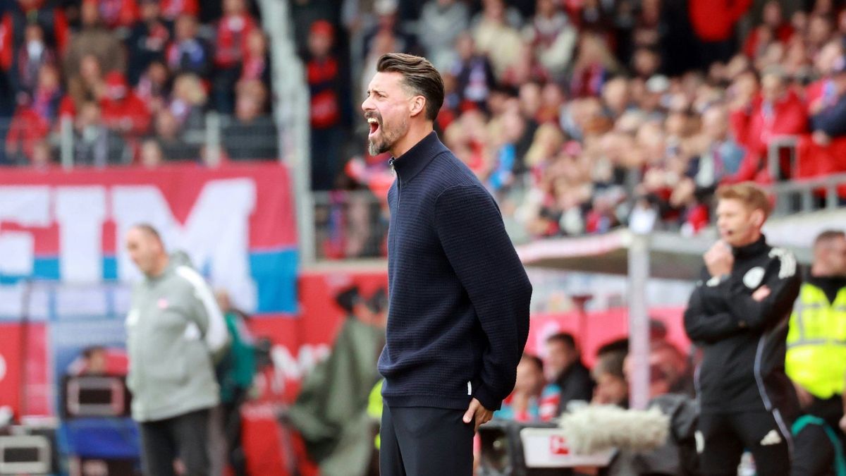Unzufrieden: Sandro Wagner